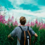 Why It Might Work For You In Travelling