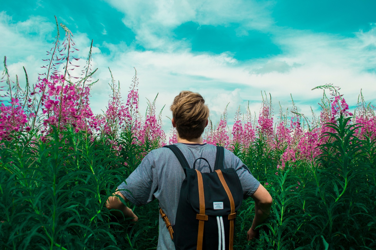Why It Might Work For You In Travelling